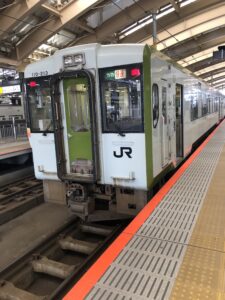 快速べにばな110系